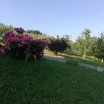 Vikendica I Vajat Vrbica Tatil Evi