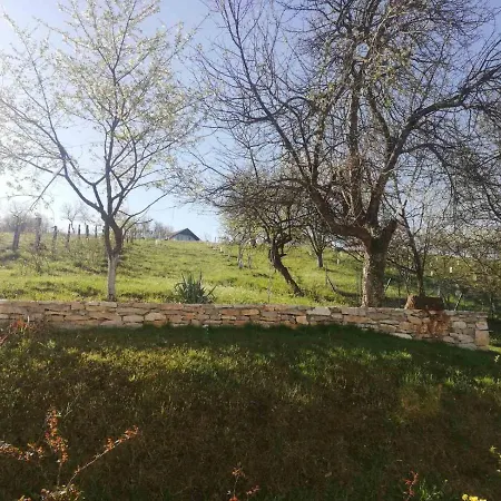 Vikendica I Vajat Vrbica Kalesija