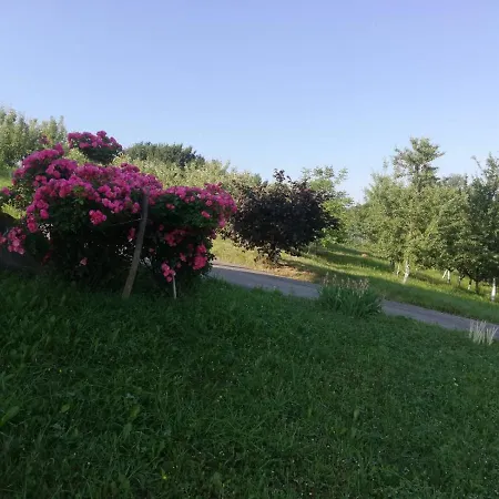 Vikendica I Vajat Vrbica 度假居