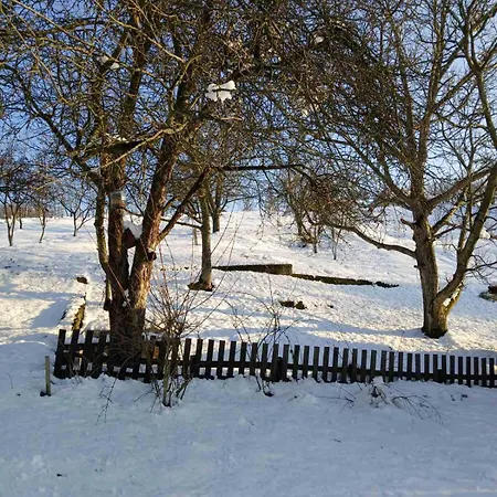 Vikendica I Vajat Vrbica * Kalesija