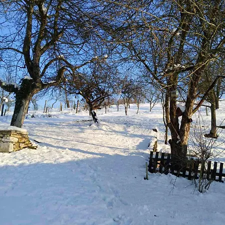 Vikendica I Vajat Vrbica